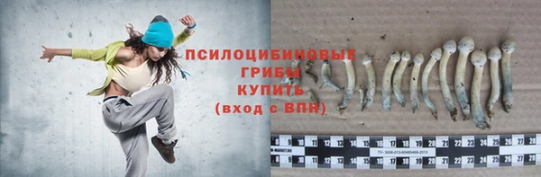 спиды Лиски
