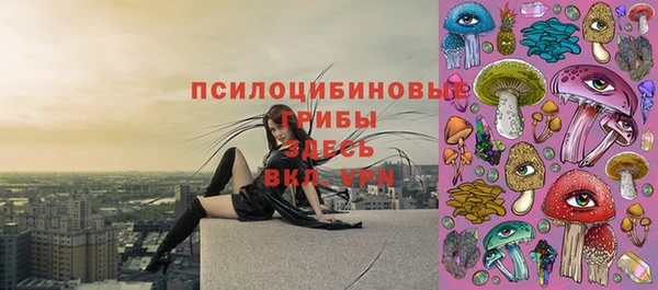 Альфа ПВП Армянск