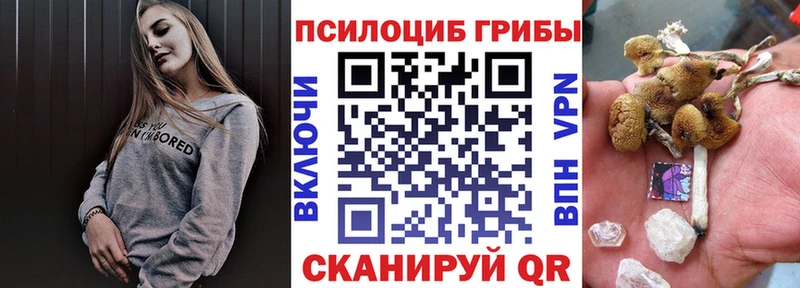 Псилоцибиновые грибы MAGIC MUSHROOMS  магазин    Солнечногорск 